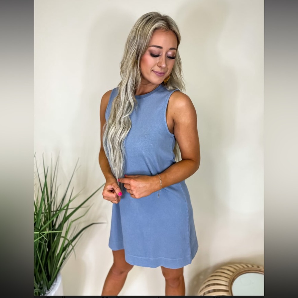 Z Supply Sloane Tank Mini Dress